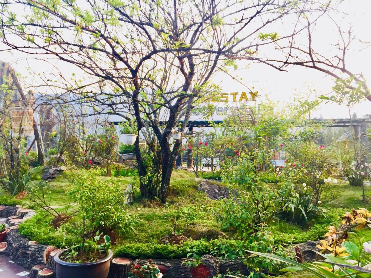 Homestay Discovery Sapa Exterior foto